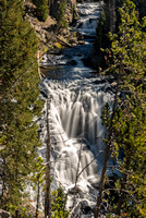 Yellowstone NP 2016