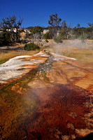 Mammoth Hot Springs Yellowstone