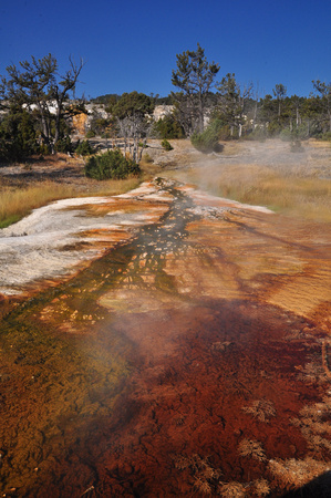Mammoth Hot Springs Yellowstonee