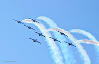 "Canadian Snowbirds at Jones Beach Airshow"