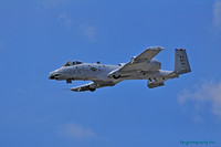 A-10 Warthog