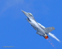 F-16 Fighting Falcon